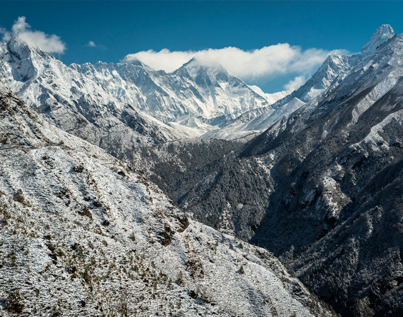 呼死您软件免费