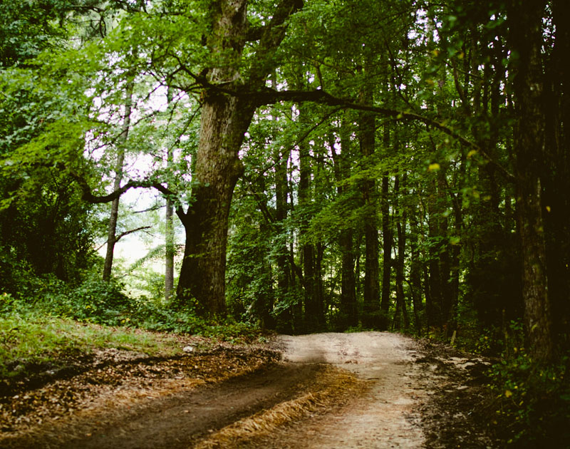 最新优化版的小七手机号在线网页轰炸